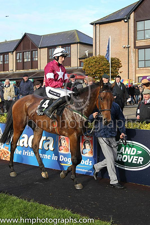 01st Valseur Lido (FR) ( 4 , maroon, white star ) and R. Walsh - Trainer : W.P. Mullins - Owner : Gigginstown House Stud