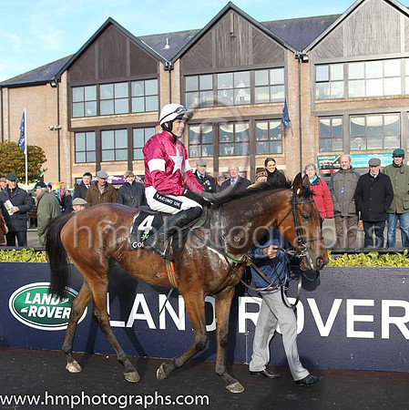 01st Valseur Lido (FR) ( 4 , maroon, white star ) and R. Walsh - Trainer : W.P. Mullins - Owner : Gigginstown House Stud