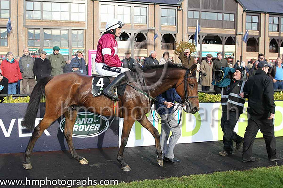 01st Valseur Lido (FR) ( 4 , maroon, white star ) and R. Walsh - Trainer : W.P. Mullins - Owner : Gigginstown House Stud