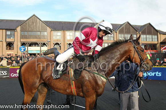 01st Valseur Lido (FR) ( 4 , maroon, white star ) and R. Walsh - Trainer : W.P. Mullins - Owner : Gigginstown House Stud