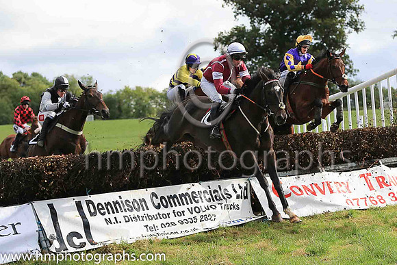 02nd STORM IN DECEMBER and R O'Harding ( 10 ,maroon, white sleeves ) Trainer: John Joseph Hanlon,, Owner : Syndicate Forever Never