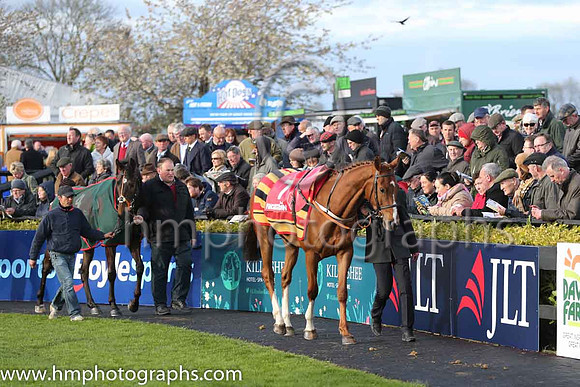 02nd Coeur Joyeux ( 7 , blue, green star ) and - Trainer : Ms. Sandra Hughes - Owner : T. O'Driscoll