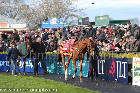 02nd Coeur Joyeux ( 7 , blue, green star ) and - Trainer : Ms. Sandra Hughes - Owner : T. O'Driscoll