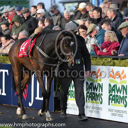 14th Our Boy Boru ( 14 , green, white sleeves ) and P. Power (7) - Trainer : J. Woods - Owner : J. Woods