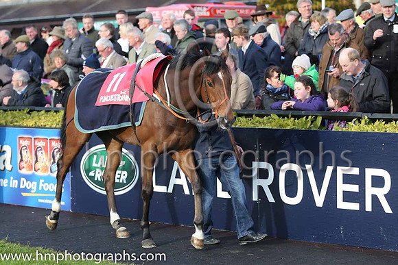 07th Improver ( 11 , red and purple diamonds ) and - Trainer : J.T.Gorman - Owner : Andrews Syndicate
