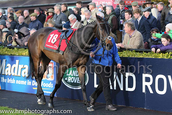 19th Startinfromscratch ( 18 , orange and greem hoops ) and - Trainer : Jonjo O'Neill (in GB) - Owner : John P. McManus