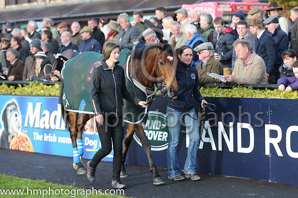 JLT INH Flat Race at Punchestown