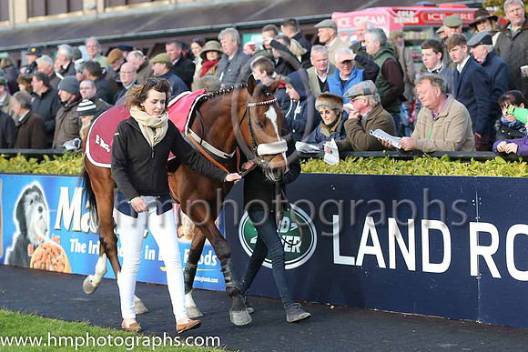 JLT INH Flat Race at Punchestown