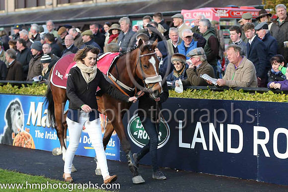 JLT INH Flat Race at Punchestown