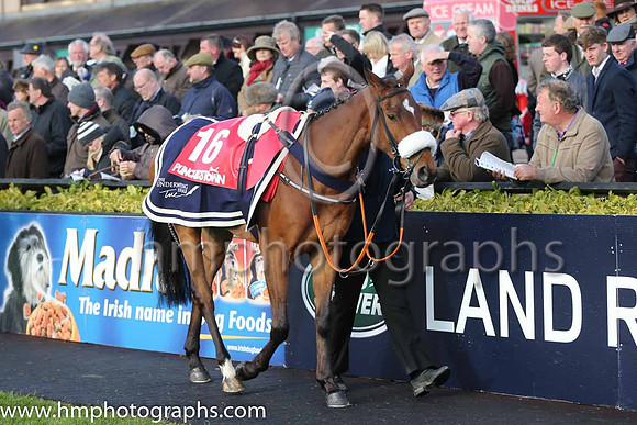 20th Petite Gold ( 16 , black, white chevron ) and L. O'Neill (7) - Trainer : Gordon Elliott - Owner : Cullentra Racing Syndicate