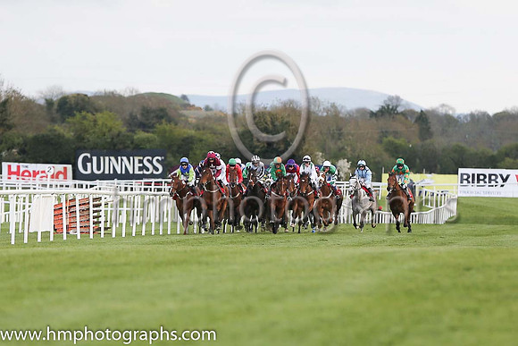 JLT INH Flat Race at Punchestown