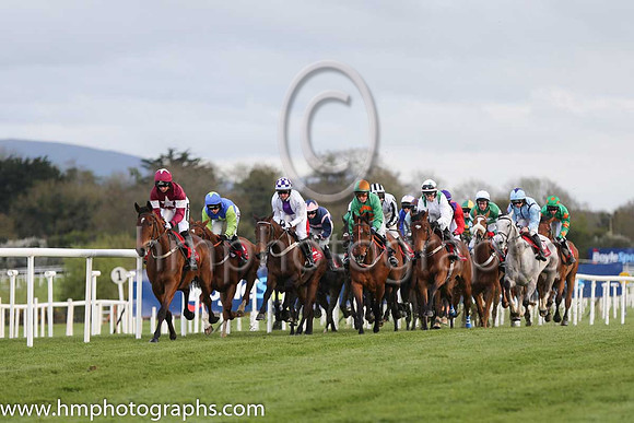 JLT INH Flat Race at Punchestown