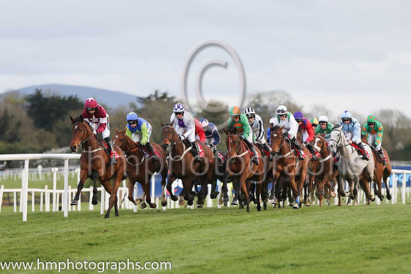 JLT INH Flat Race at Punchestown