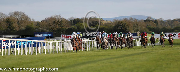 JLT INH Flat Race at Punchestown