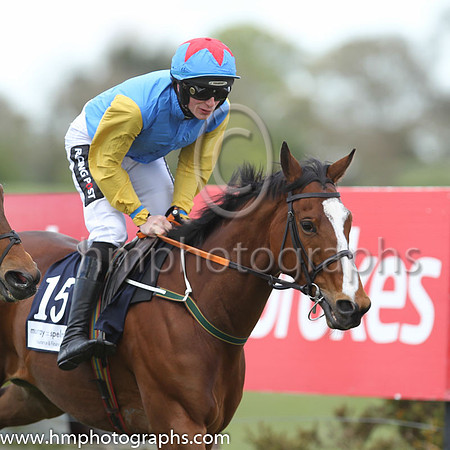 16th Pepparpot ( 15 , blue, yellow sleeves ) and D.E. Mullins - Trainer : Ms Margaret Mullins - Owner : Ms Margaret Mullins/A.D. Mullins