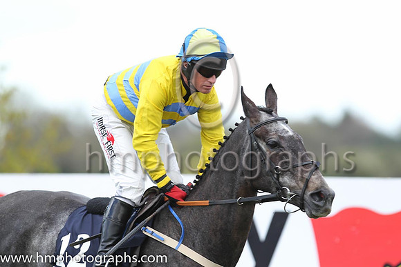 18th Bashful Beauty ( 12 , yellow and blue chevrons ) and P. Carberry - Trainer : Norman Lee - Owner : Paul Mullins