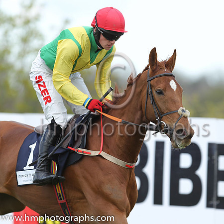 02nd A Sizing Network (FR) ( 1 , green, white chevron ) and J.J. Burke - Trainer : Henry de Bromhead - Owner : Ann &amp; Alan Potts Partnership