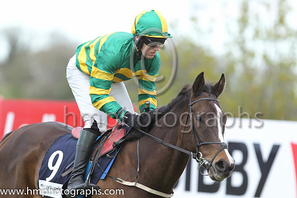 08th Shutter Island ( 9 , orange and green hoops ) and J.S. McGarvey (3) - Trainer : Charles O'Brien - Owner : John P. McManus