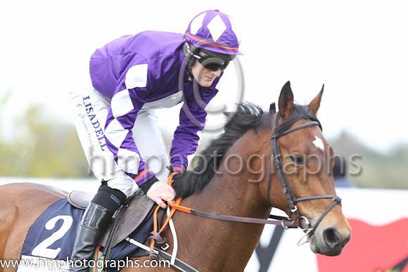 15th Daliyan ( 2 , purple, white diamond ) and G.N. Fox (5) - Trainer : Rodger Sweeney - Owner : G. Penney