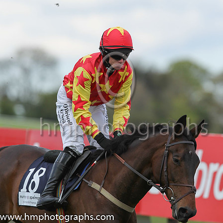 25th Dantes Firth ( 18 , red, yellow stars ) and P. Townend - Trainer : Thomas Foley - Owner : P. McCormack/David P. McCormack
