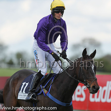 17th Don Vincenzo ( 11 , purple ) and Andrew J. McNamara - Trainer : Colin Bowe - Owner : Mob Partnership