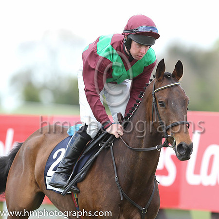 12th Master Appeal ( 20 , maroon, green cross belts ) and A.E. Lynch - Trainer : John E. Kiely - Owner : Express Racing Syndicate
