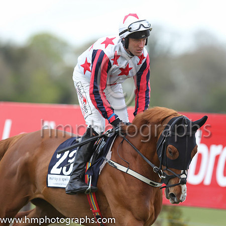 14th Tipped Up Harry (GB) ( 23 , white, maroon stars ) and R.M. Power - Trainer : Mrs Denise Foster - Owner : Jules Sigler