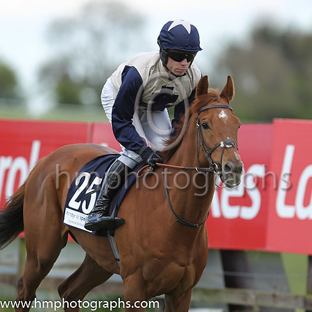 06th Golden Spear (GB) ( 25 , beige, blue cross ) and D.F. O'Regan - Trainer : A.J.Martin - Owner : Newtown Anner Stud Farm Ltd.