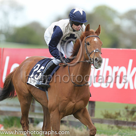 06th Golden Spear (GB) ( 25 , beige, blue cross ) and D.F. O'Regan - Trainer : A.J.Martin - Owner : Newtown Anner Stud Farm Ltd.