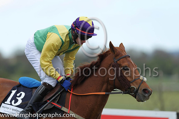 04th Equity Swap ( 13 , green, white chevron ) and D. Robinson (7) - Trainer : Henry de Bromhead - Owner : Ann &amp; Alan Potts Partnership