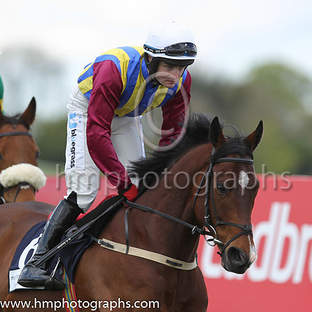 10th Casimir Road ( 6 , green and yellow stripes ) and K.C. Sexton (3) - Trainer : Stephen Ryan - Owner : Patrick G. McKeon