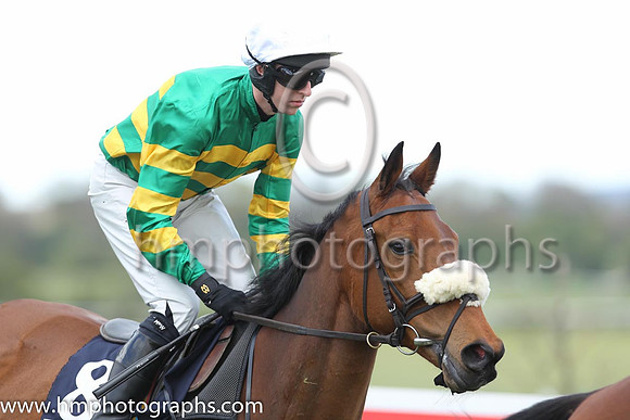 22nd A Grey Matter ( 8 , orange and green hoops ) and M.P. Walsh - Trainer : Martin Brassil - Owner : John P. McManus