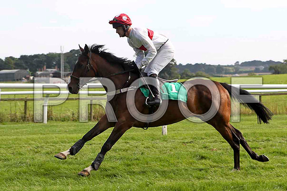 Ask the Group 10th, Jockey Mr E Magee- FT8E3168-e