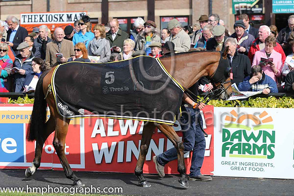 06th One Term ( 5 , blue, white stripe ) and J.J. Burke - Trainer : Rebecca Curtis (in GB) - Owner : Miss L. Reid &amp; G. Costelloe