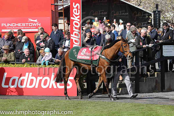 02nd Upazo (FR) ( 8 , green, white star ) and R. Walsh - Trainer : W.P. Mullins - Owner : Philip J. Reynolds/Mrs M McMahon