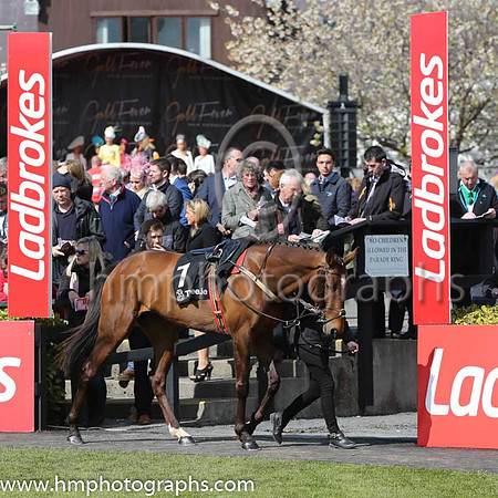 09th Mount Colah ( 1 , green, yellow hoop ) and N. McParlan (5) - Trainer : J.G.Cosgrave - Owner : Thomas Walsh