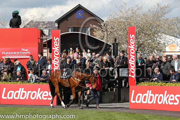 16th U Fosters Cross ( 11 , white, dark blue sleeves light blue stars ) and D.J. Mullins (5) - Trainer : Thomas Mullins - Owner : Patrick J O'Donovan