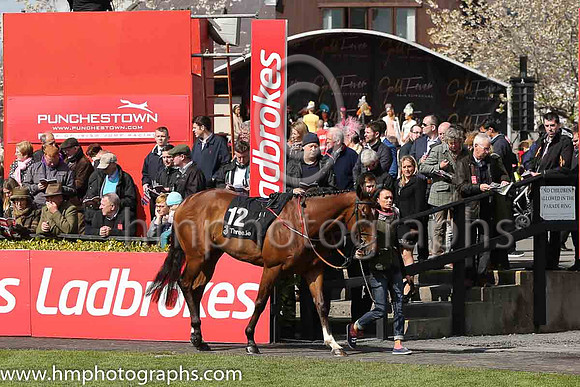 04th Usa ( 12 , white, green stars, yellow sleeves ) and P. Townend - Trainer : S.J.Mahon - Owner : T.C.Quinn