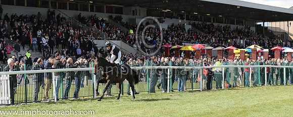 14th F Ludo Et Emergo ( 4 , black, pink sash ) and R.C. Colgan - Trainer : Andrew Lee - Owner : Dr. Maria Hinfelaar