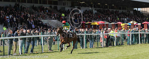 07th Bold Henry (GB) ( 9 , orange and green hoops ) and N.P. Madden - Trainer : Philip Hobbs (in GB) - Owner : John P. McManus