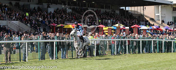 13th PU Grey Gold ( 2 , dark blue, light blue diamonds ) and D.N. Russell - Trainer : Richard Lee (in GB) - Owner : Mrs M.A.Boden