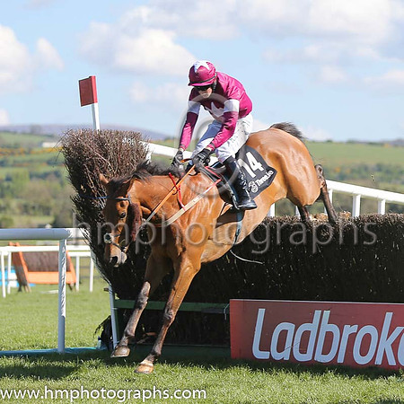 10th Enjoy Responsibly ( 14 , maroon, white star ) and B.J. Cooper - Trainer : Henry de Bromhead - Owner : Gigginstown House Stud