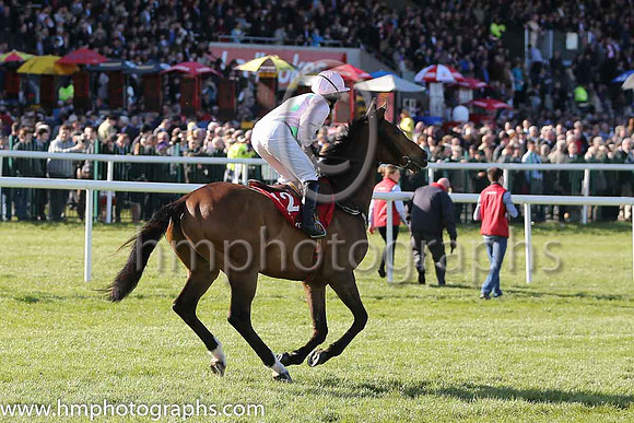 08th Zaidpour (FR) ( 12 , pink, light green stars ) and D.J. Casey - Trainer : W.P. Mullins - Owner : Mrs C Ricci