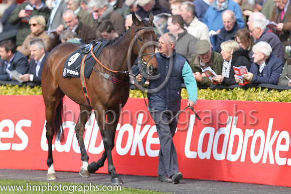 07th Bold Henry (GB) ( 9 , orange and green hoops ) and N.P. Madden - Trainer : Philip Hobbs (in GB) - Owner : John P. McManus