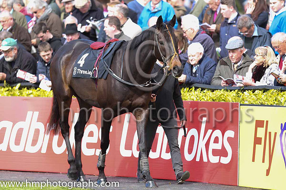 14th F Ludo Et Emergo ( 4 , black, pink sash ) and R.C. Colgan - Trainer : Andrew Lee - Owner : Dr. Maria Hinfelaar