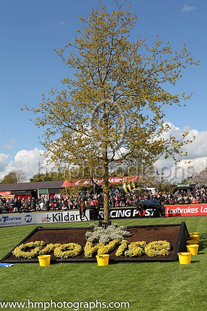 Parade Ring at Punchestown