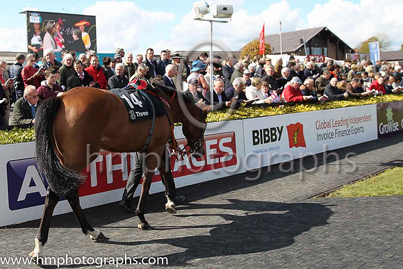 10th Enjoy Responsibly ( 14 , maroon, white star ) and B.J. Cooper - Trainer : Henry de Bromhead - Owner : Gigginstown House Stud