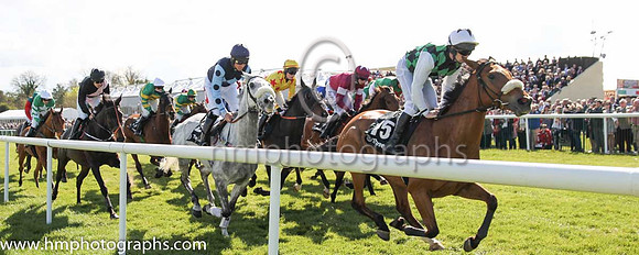 11th Is Herself About ( 15 , freen and black diamonds ) and B.R. Dalton (3) - Trainer : David M.O'Brien - Owner : Peter Tarrant