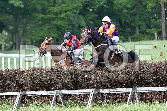 Race 6 Div 2 - Gregg Boy (12) 2nd, Rider J Cresswell & Supitinye (27) 3rd, Rider P W Bartlett - CU2D9827-e