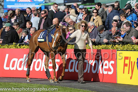 02nd Quantitativeeasing ( 11 , orange and green hoops ) and N. Carberry - Trainer : E. Bolger - Owner : John P. McManus